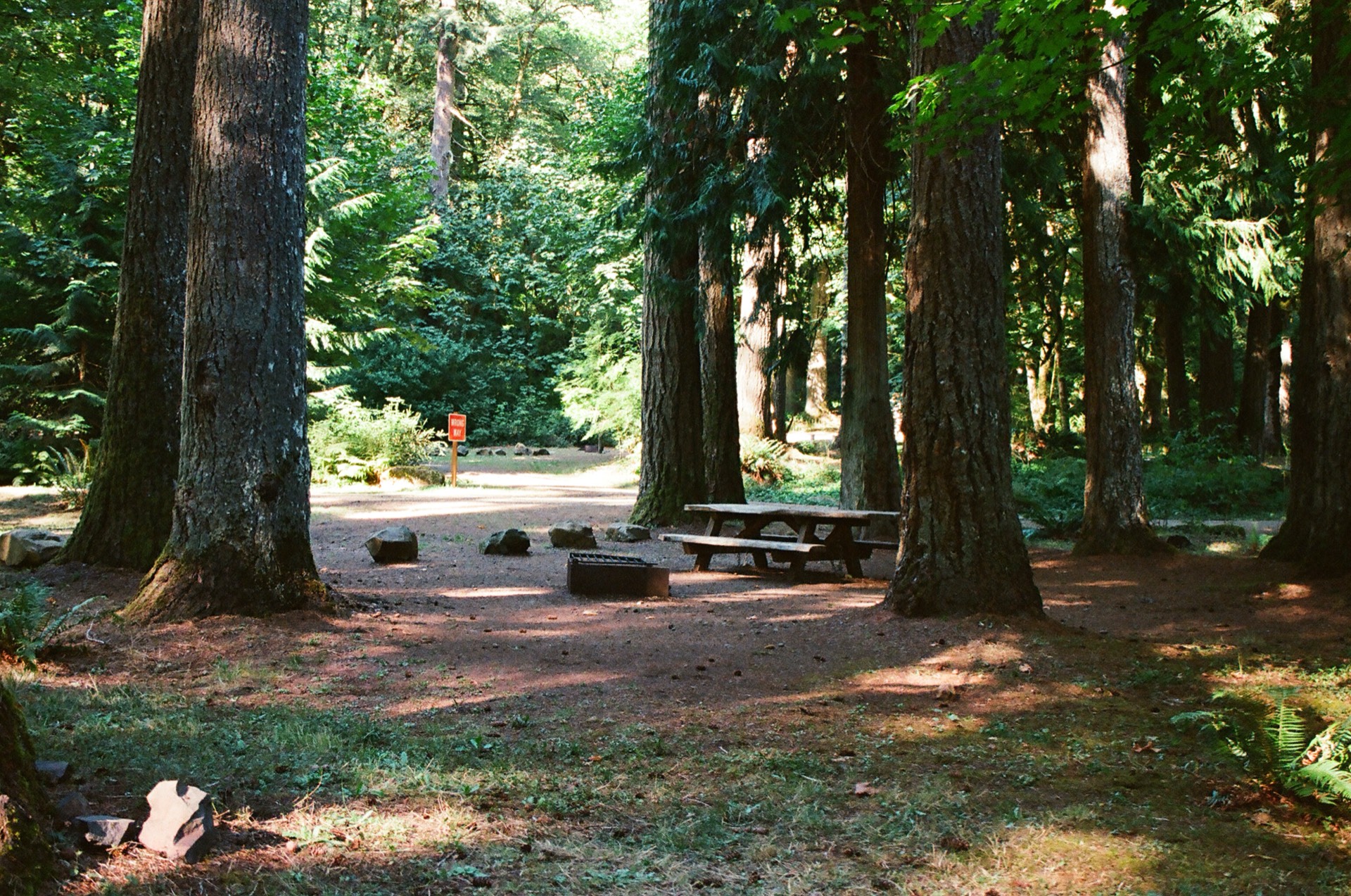 Oregon Camp Site