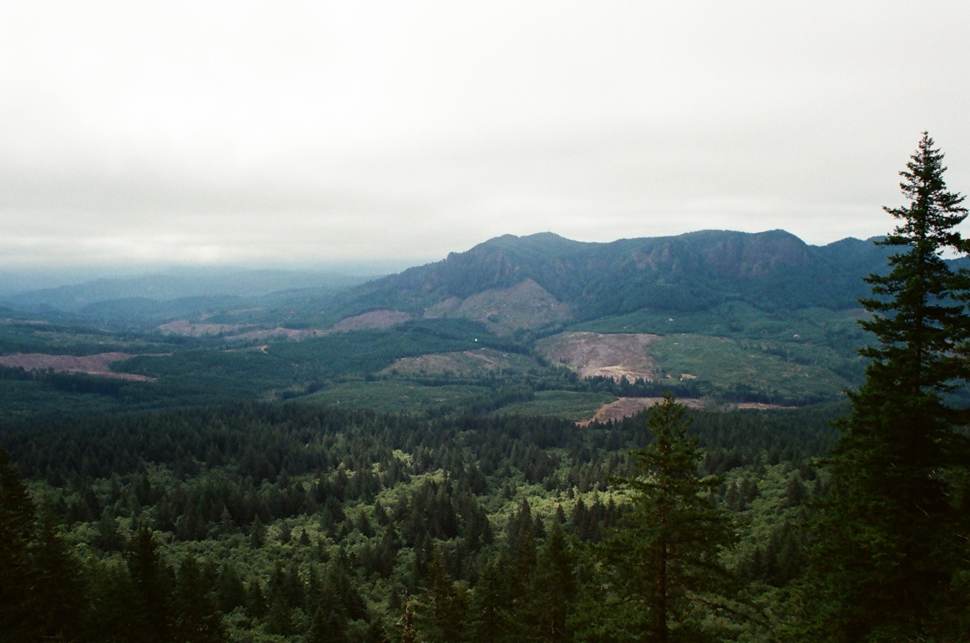 Saddle Mountain