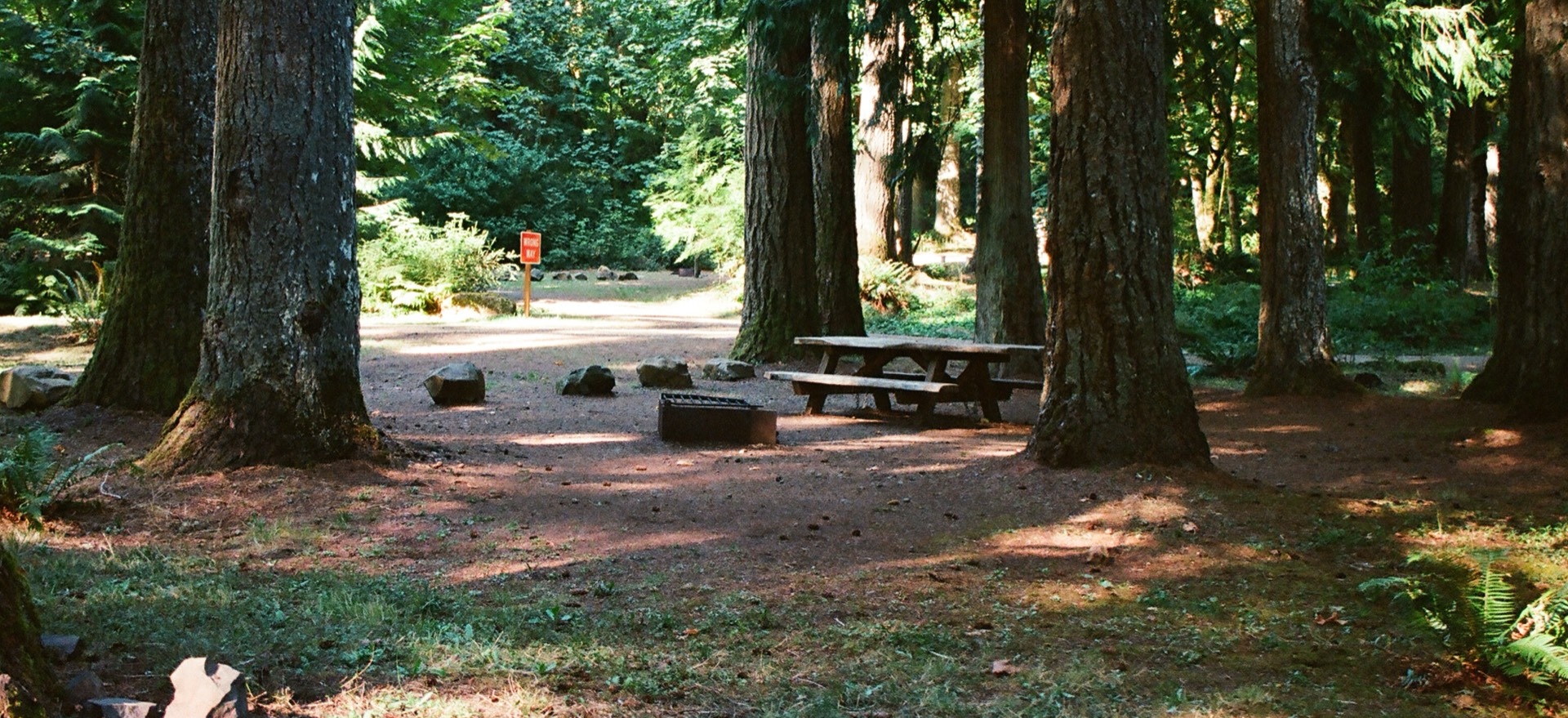 Oregon Camp Site