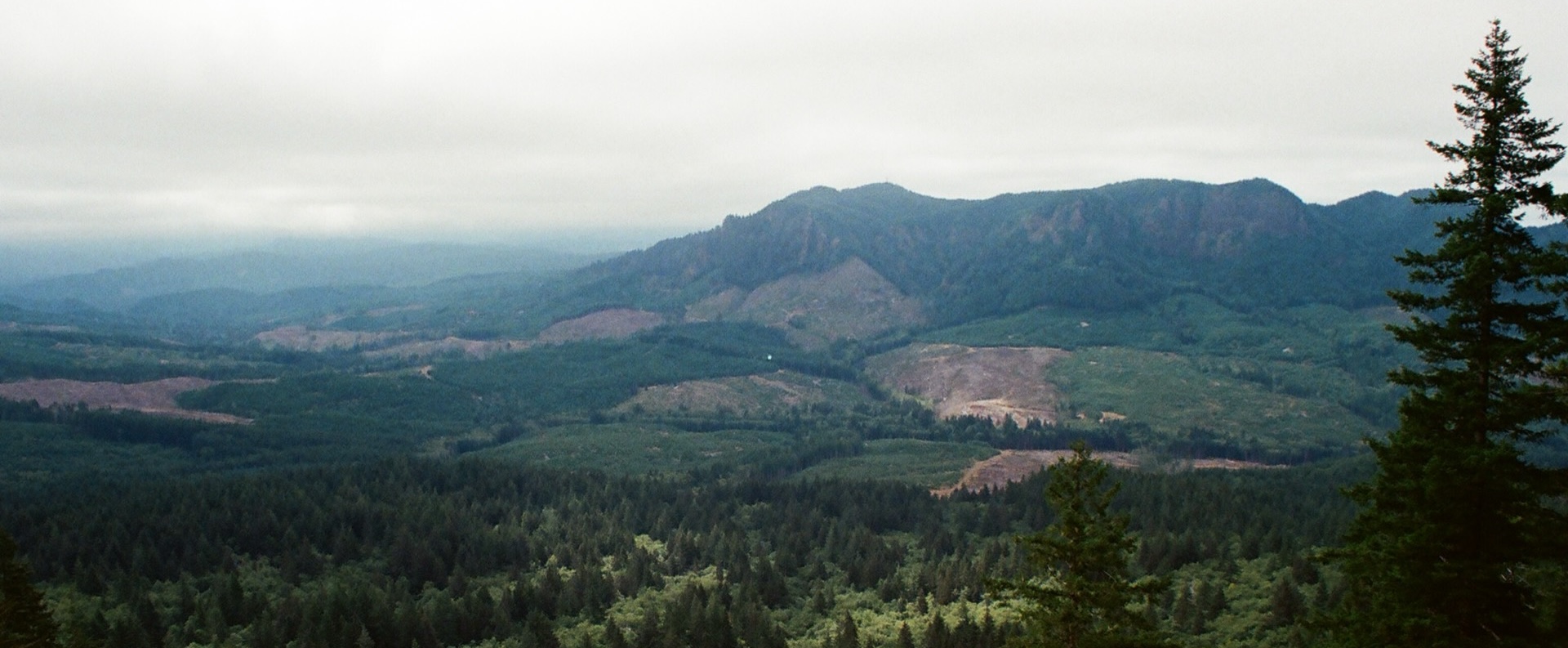 Saddle Mountain